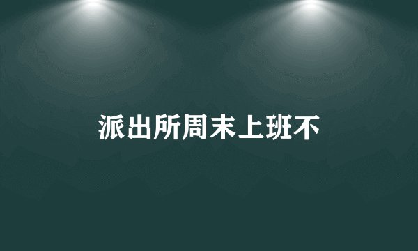 派出所周末上班不