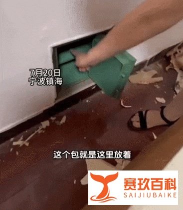 墙内发现40余万元巨额财物，她全上交了！