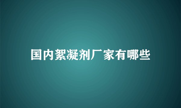 国内絮凝剂厂家有哪些