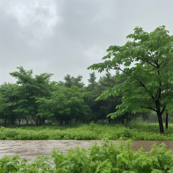 谷雨是下雨好还是不下雨好