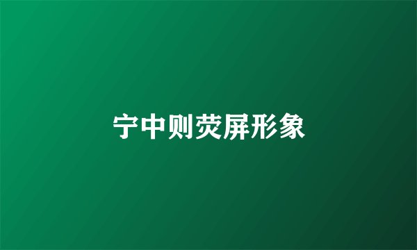宁中则荧屏形象