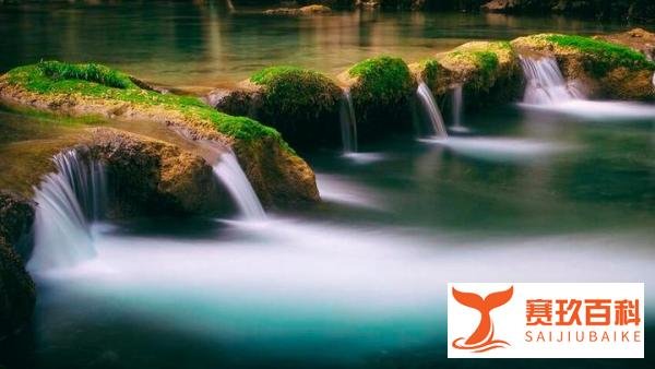 一首诗概括《进学解》 | 细大不捐弃，唯疑是以察
