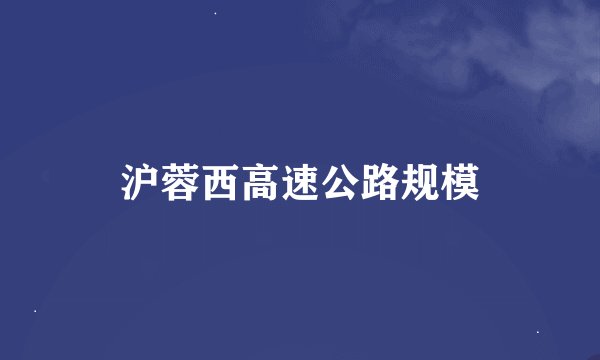沪蓉西高速公路规模