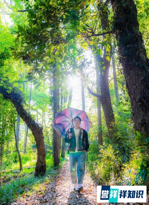 林生斌事件又有后续，被爆料出轨家暴后，现任也被吐槽