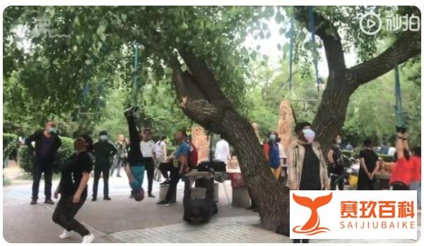 沈阳大爷大妈把头挂树上锻炼 这是咋情况？