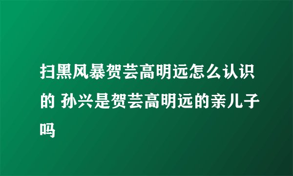 扫黑风暴贺芸高明远怎么认识的 孙兴是贺芸高明远的亲儿子吗