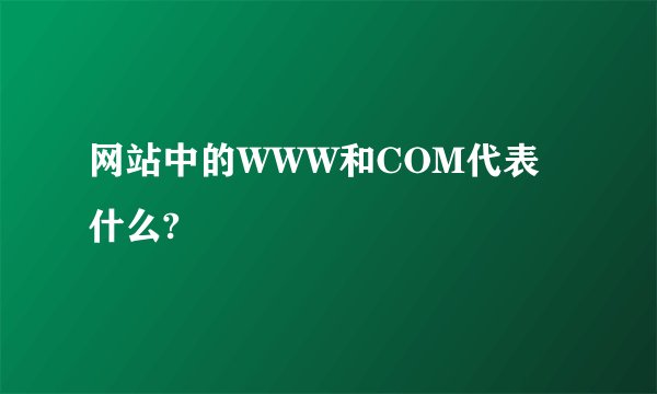 网站中的WWW和COM代表什么?