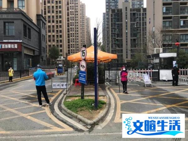 武汉封城日记-封城一月的街道