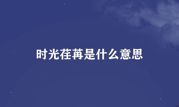 时光荏苒是什么意思