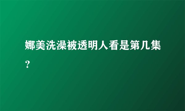 娜美洗澡被透明人看是第几集？