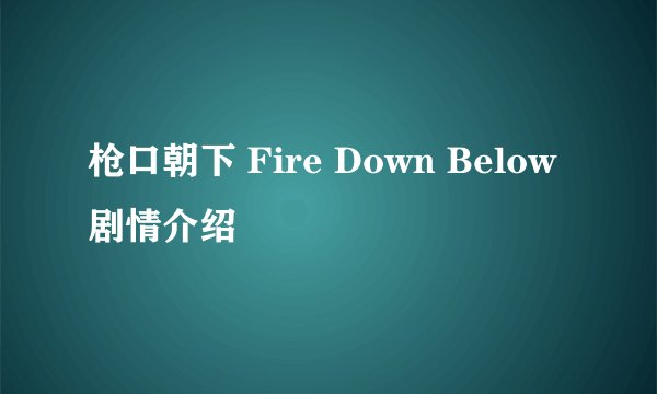 枪口朝下 Fire Down Below剧情介绍