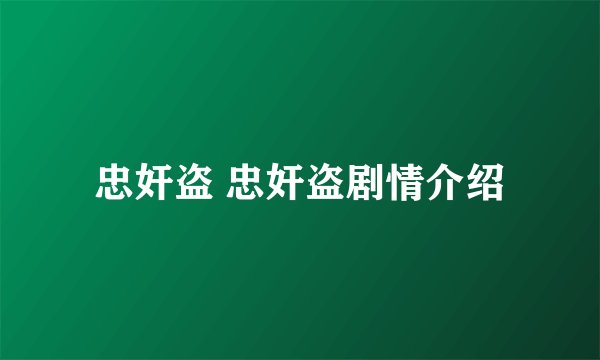 忠奸盗 忠奸盗剧情介绍
