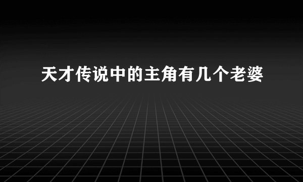 天才传说中的主角有几个老婆