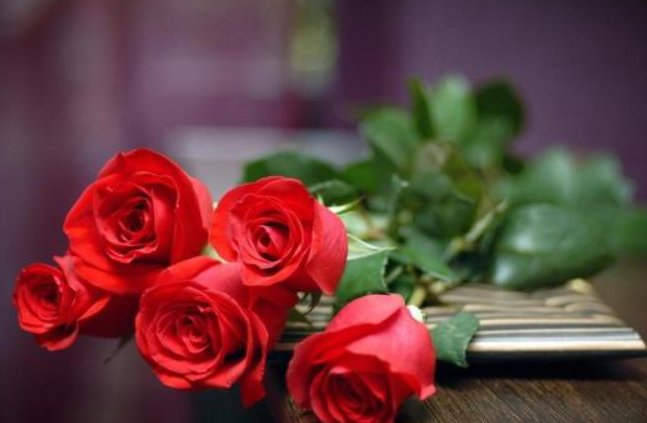 玫瑰花到了花期是什么意思？
