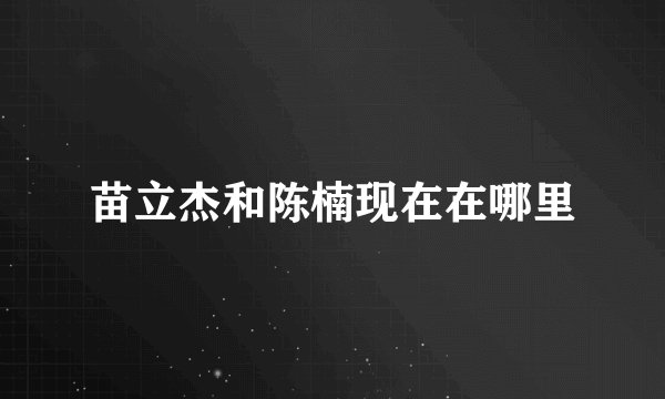 苗立杰和陈楠现在在哪里