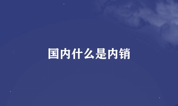 国内什么是内销