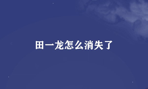 田一龙怎么消失了