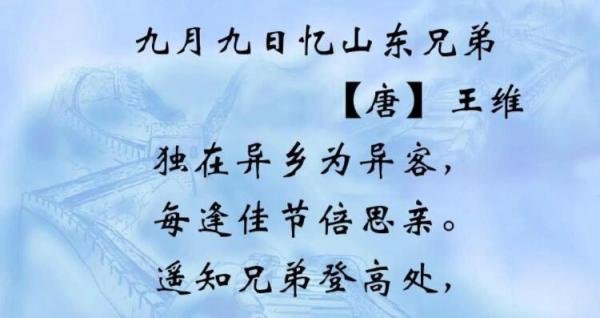 遍插茱萸少一人出自哪首诗 遍插茱萸少一人全诗是什么意思