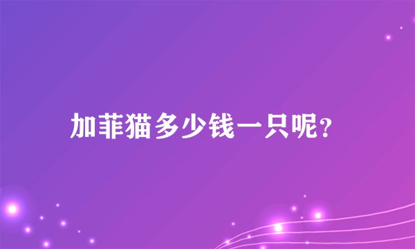 加菲猫多少钱一只呢？