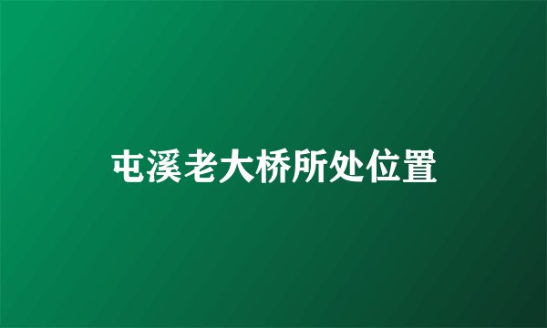 屯溪老大桥所处位置