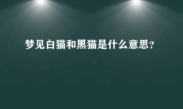 梦见白猫和黑猫是什么意思？