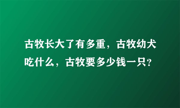 古牧长大了有多重，古牧幼犬吃什么，古牧要多少钱一只？