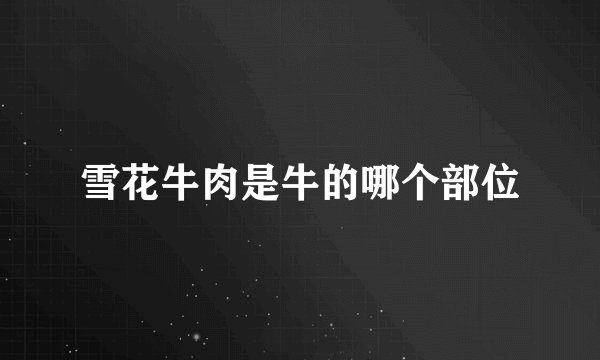 雪花牛肉是牛的哪个部位
