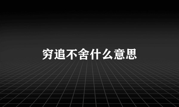穷追不舍什么意思
