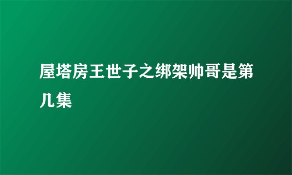 屋塔房王世子之绑架帅哥是第几集