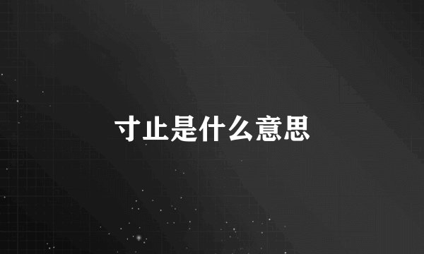 寸止是什么意思