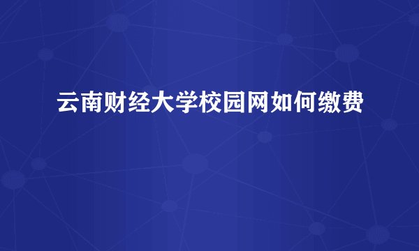 云南财经大学校园网如何缴费