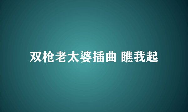 双枪老太婆插曲 瞧我起
