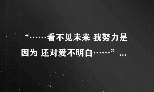 “……看不见未来 我努力是因为 还对爱不明白……”哪首歌的歌词？