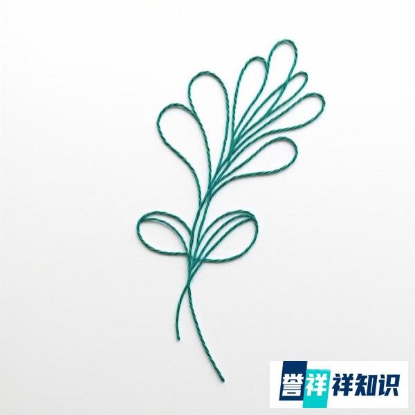 人肉搜索第一案-《法治的细节》