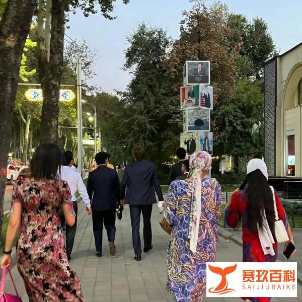 实话很难听,但这确实是塔吉克斯坦现状了