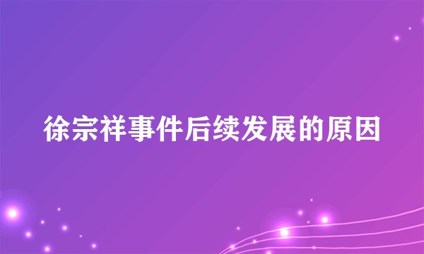 徐宗祥事件后续发展的原因