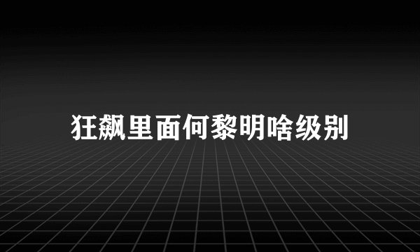 狂飙里面何黎明啥级别