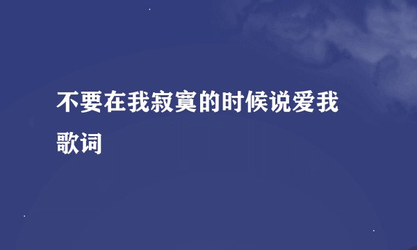 不要在我寂寞的时候说爱我 歌词