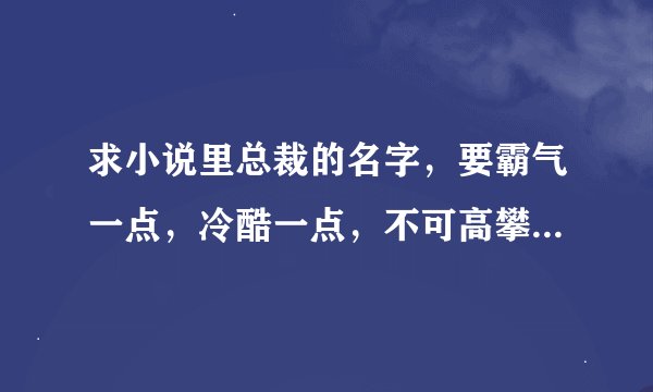 求小说里总裁的名字，要霸气一点，冷酷一点，不可高攀一点。最少25个。