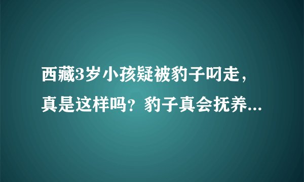 西藏3岁小孩疑被豹子叼走，真是这样吗？豹子真会抚养人类小孩？