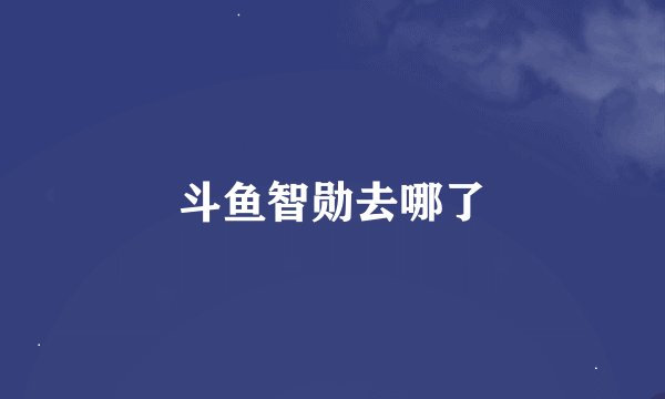 斗鱼智勋去哪了