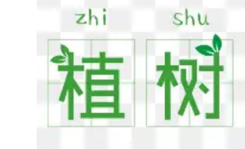 植树的拼音怎样拼写？