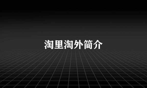 淘里淘外简介