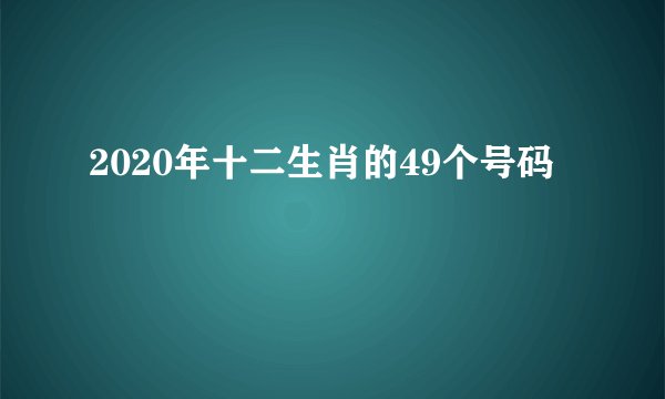2020年十二生肖的49个号码