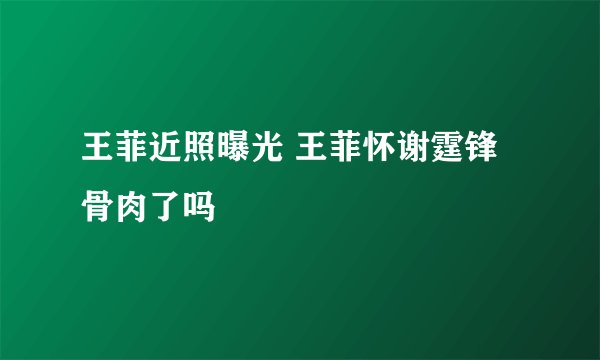 王菲近照曝光 王菲怀谢霆锋骨肉了吗