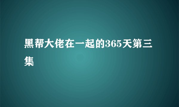 黑帮大佬在一起的365天第三集