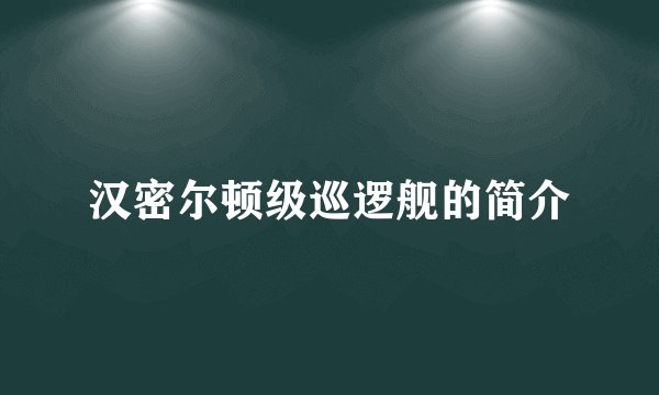 汉密尔顿级巡逻舰的简介