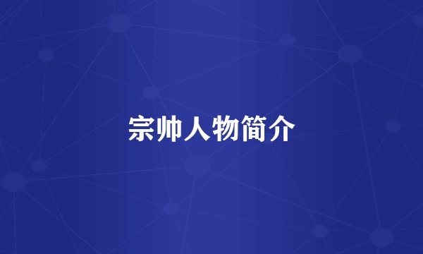 宗帅人物简介