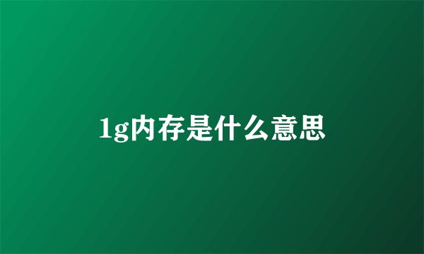 1g内存是什么意思