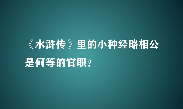 《水浒传》里的小种经略相公是何等的官职?